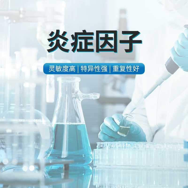 豬防御素β1(DEFβ1) ELISA 試劑盒